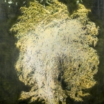 Ghost-Tree-112-x-92