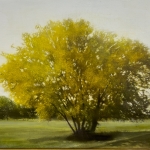 The-Yellow-Tree-Edit