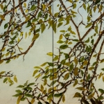 Apple-branches-and-leaves-16x32