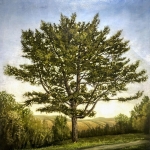 Stephen's Pine-Tree -48-x-48